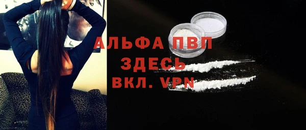 СК Алексин