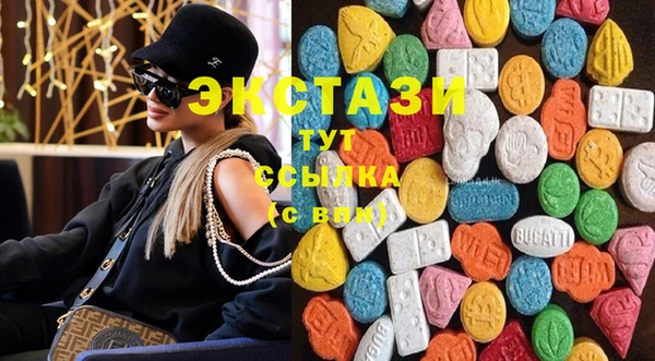 СК Алексин