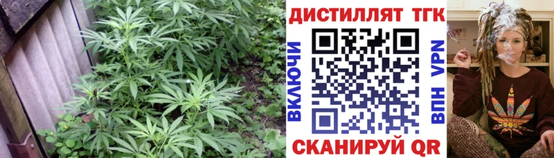 ТГК Wax  где купить наркоту  Александровское 